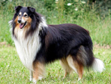Andy 5 Jahre